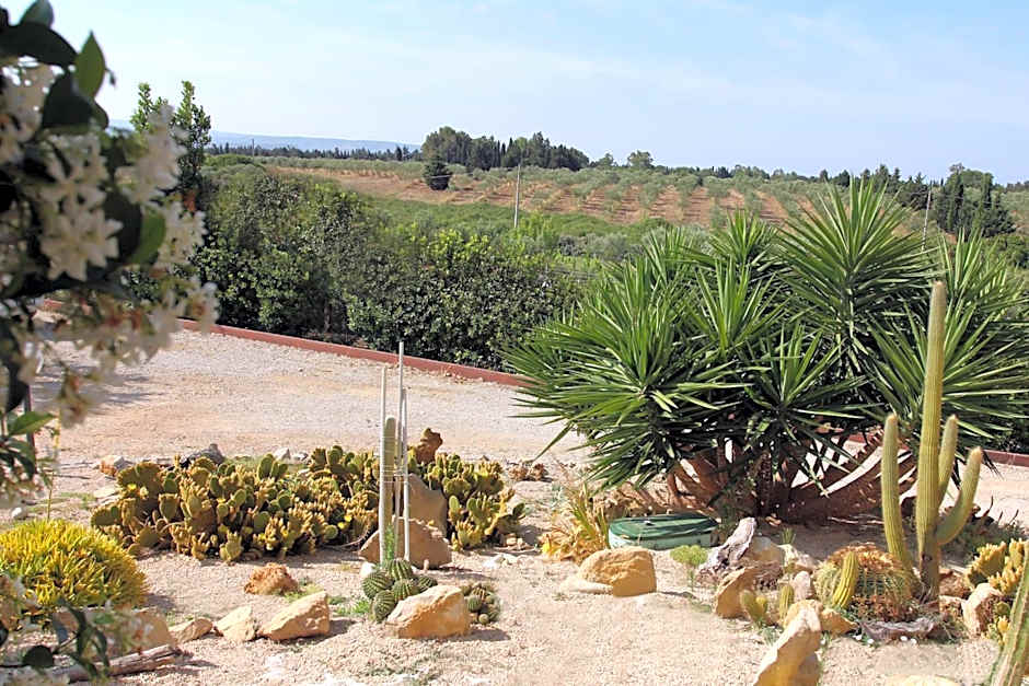 Palmas Dorada Home