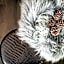 Boutique & Fashion Hotel Maciaconi - Gardenahotels