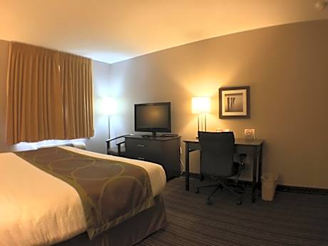 1 Queen Bed Accessible Room Non-Smoking