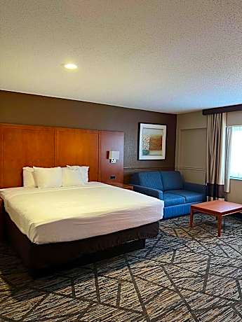 Suite-1 King Bed Non-Smoking Larger Room Microwave And Refrigerator Full Breakfast