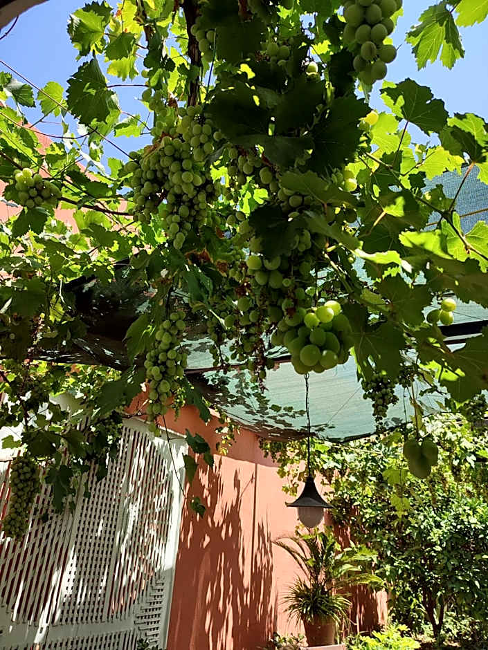 Tavira Townhome with private Garden