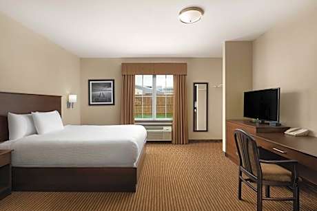 1 Queen Bed, Efficiency, Nonsmoking
