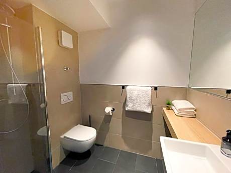 Comfort Plus Double Room with Private Bathroom