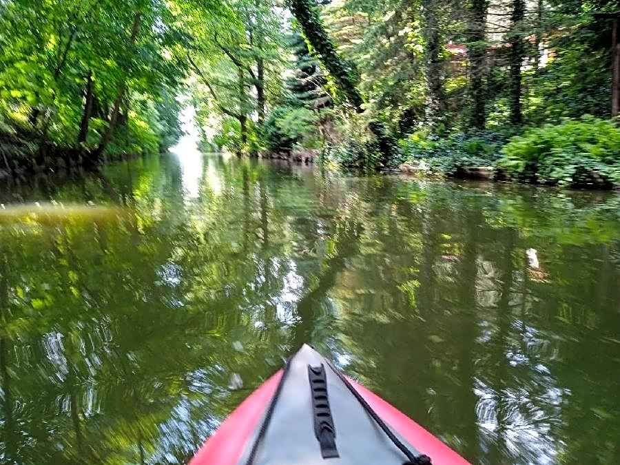 Domki nad Szelągiem