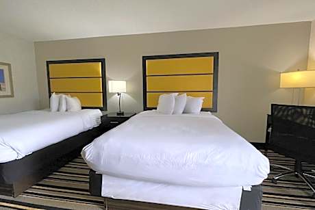 Premium 2 Queen Bed