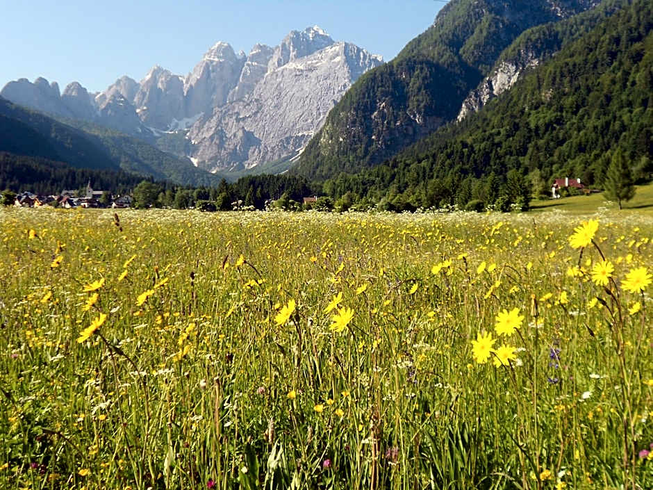 Affittacamere Krajnc