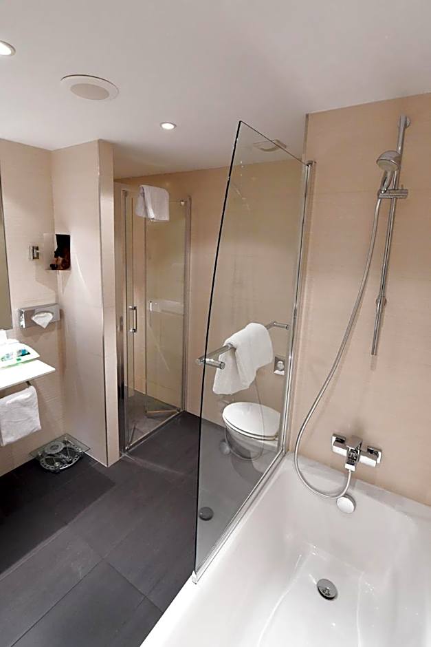 Holiday Inn Mulhouse By IHG