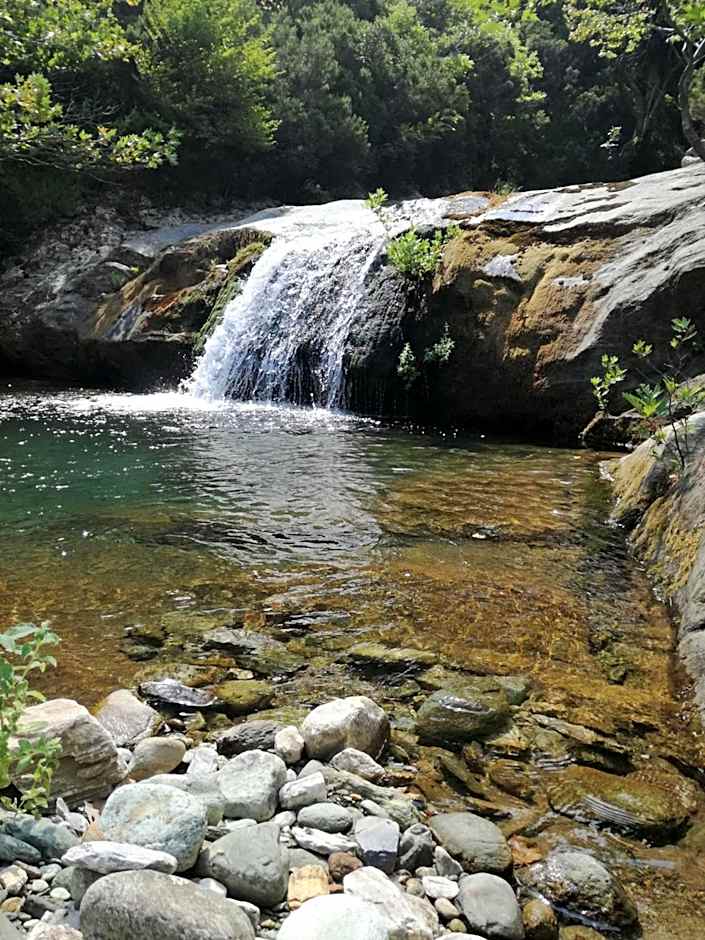 Gikas Apartments Triple Studio Sea View B7