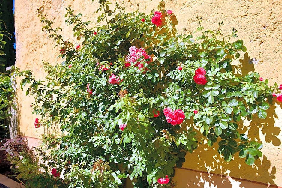 Hotel Diffuso Il Portichetto sulla collina a Vezio Perledo