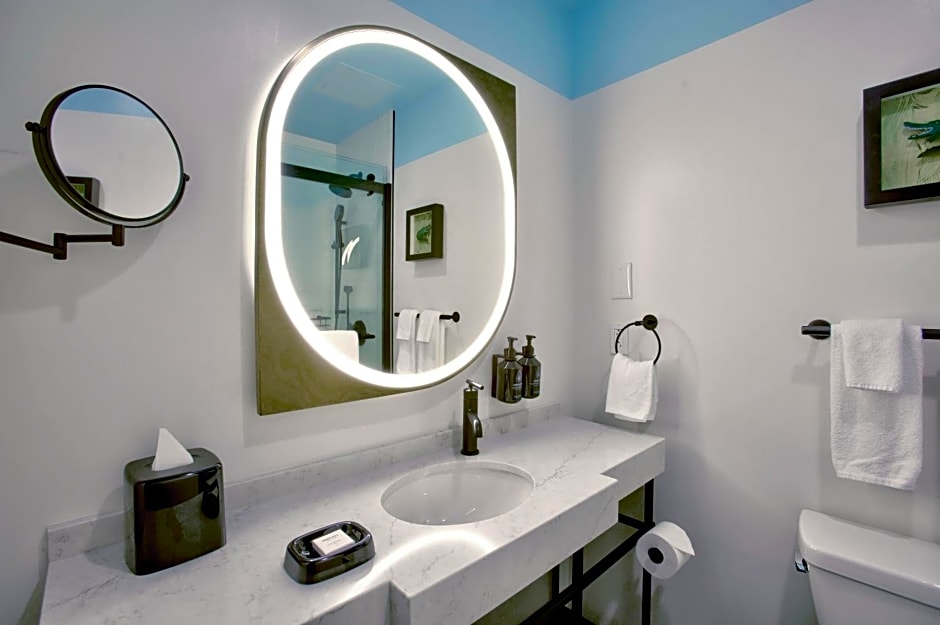 Hotel Indigo New Orleans French Quarter By IHG