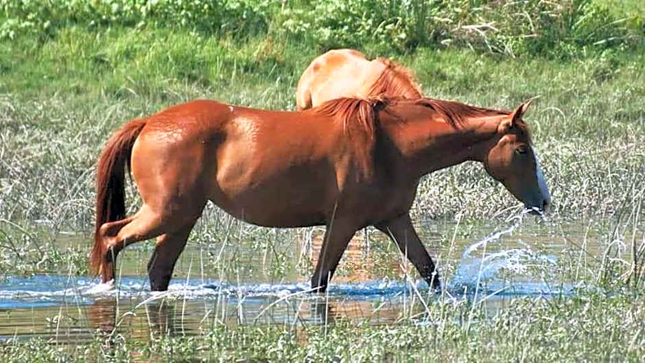 Villa Rio by Valada Village