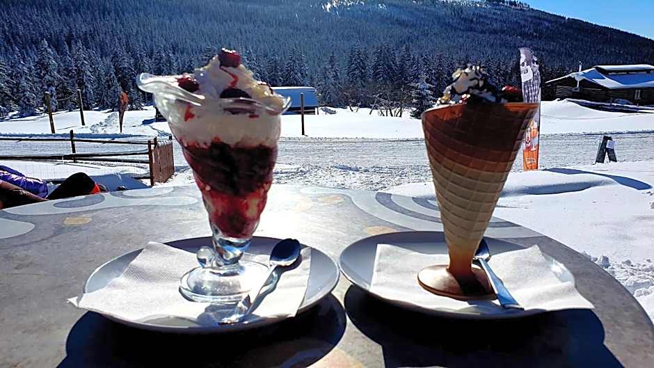 Horský hotel Kolínská bouda