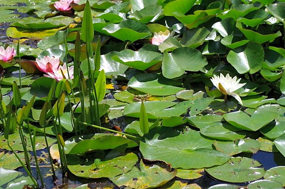 Maison d'Hôtes Le Cadran Solaire