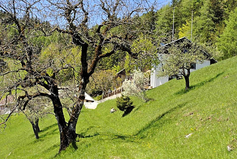 Bed&Breakfast Lausegger