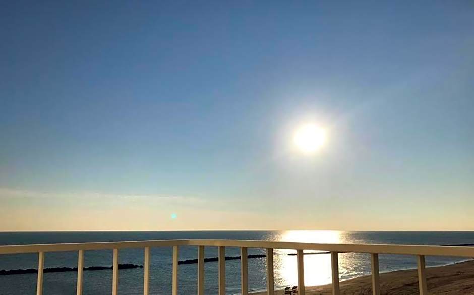 Hotel Alexander Museum Palace