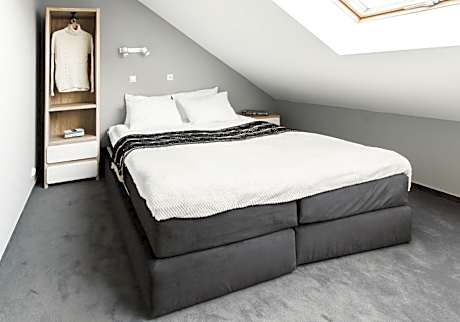 One-Bedroom Classic Apartment with air conditioning in the Attic