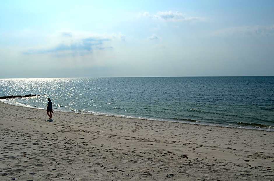Cape Shore Inn