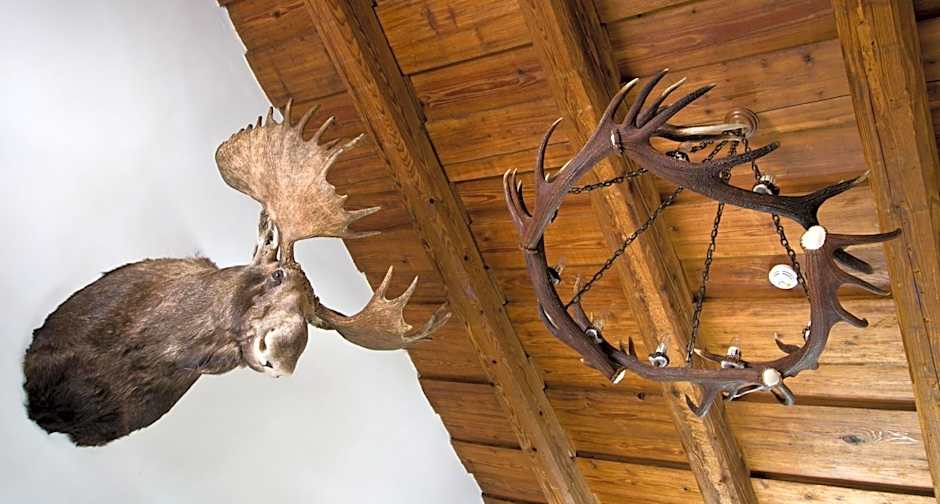 Zámek Zábřeh hotel & pivovar