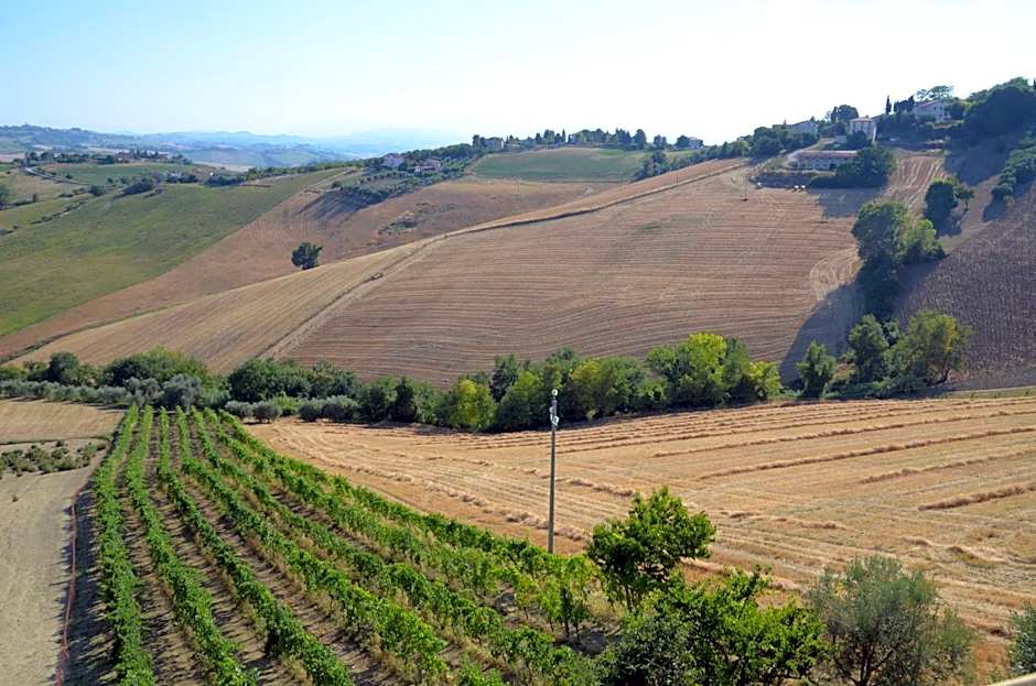 Il Vecchio Pioppo