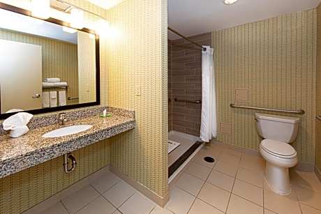 2 Queen Standard Mobility Accessible Roll in Shower