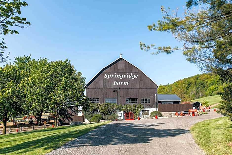 Holiday Inn Express Hotel & Suites Milton By IHG