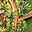 BON Hotel at VidantaWorld Nuevo Vallarta