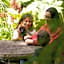 Dantica Cloud Forest Lodge