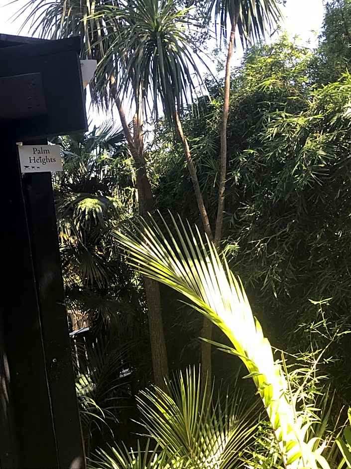 Palm Heights