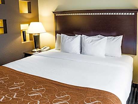 1 Bedroom King Suite