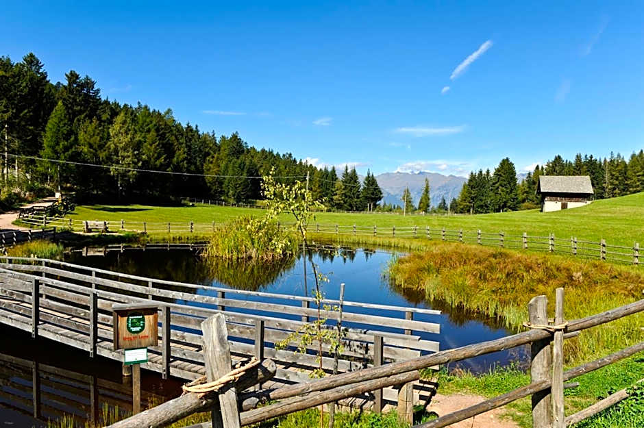 Hotel Restaurant Alber