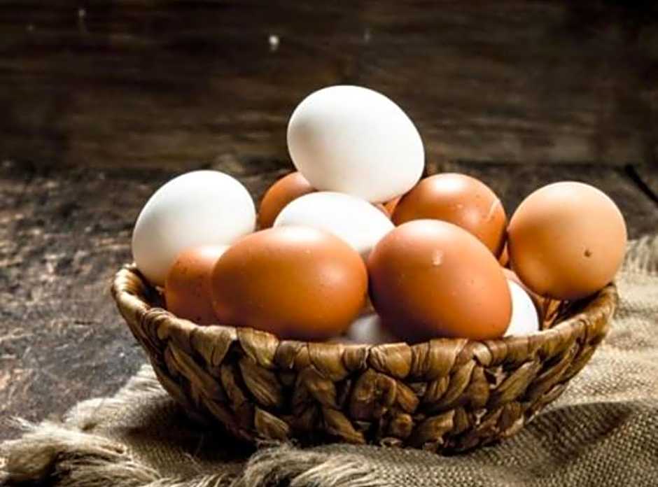 Eco Village Mojkovac