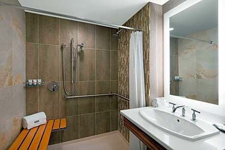 Traditional Room, 2 Double Beds (Mobility Accessible, Roll-In Shower)