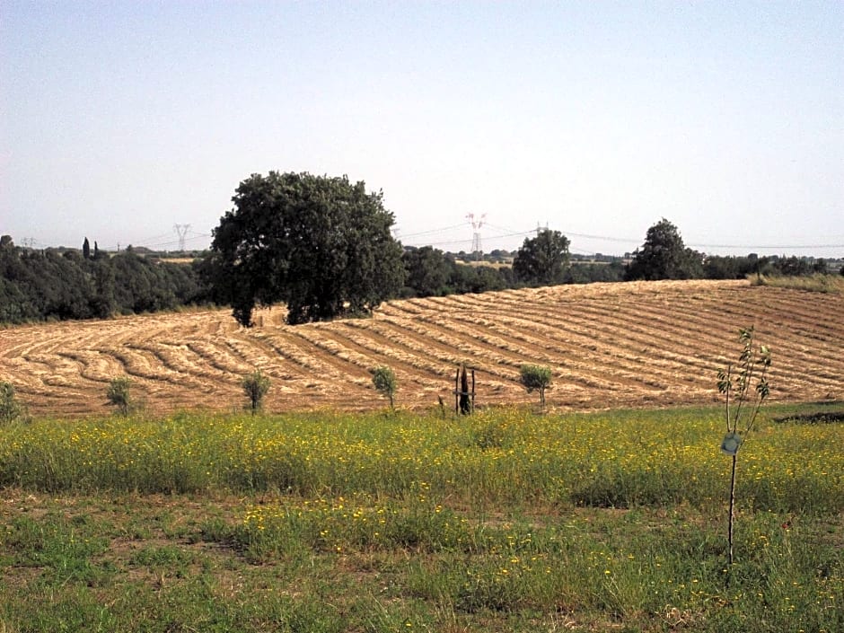 Poderi di Tragliatella