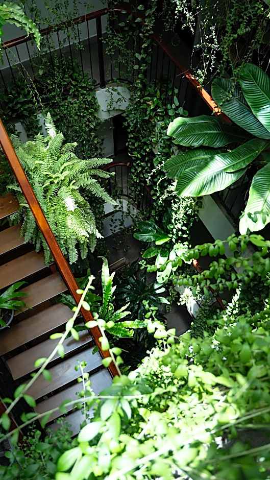 Nicobar Con Dao Hotel