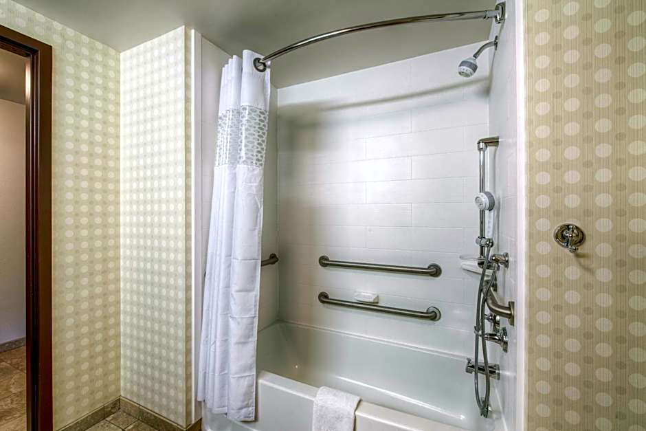 Hampton Inn By Hilton And Suites Detroit/Airport-Romulus