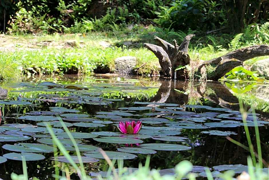 Eco-Resort Parco Botanico Fiorlago