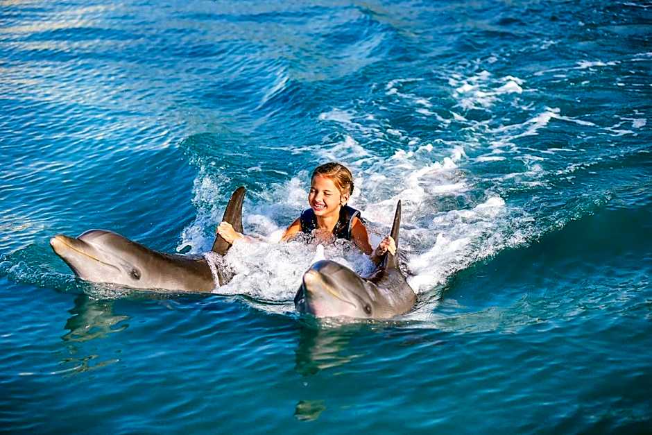 Moon Palace Jamaica Grande - All Inclusive