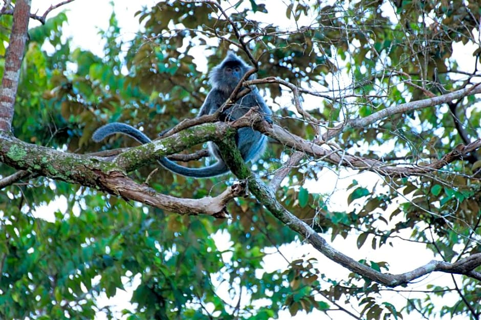 Four Points By Sheraton Sandakan