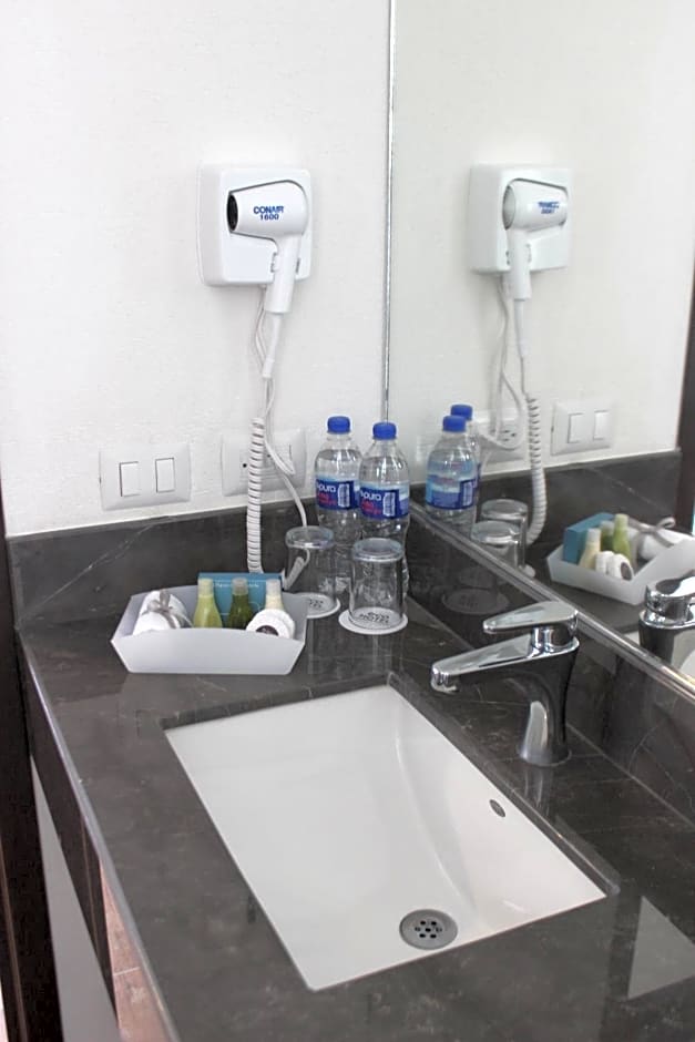 Eco Hotel Guadalajara Expo