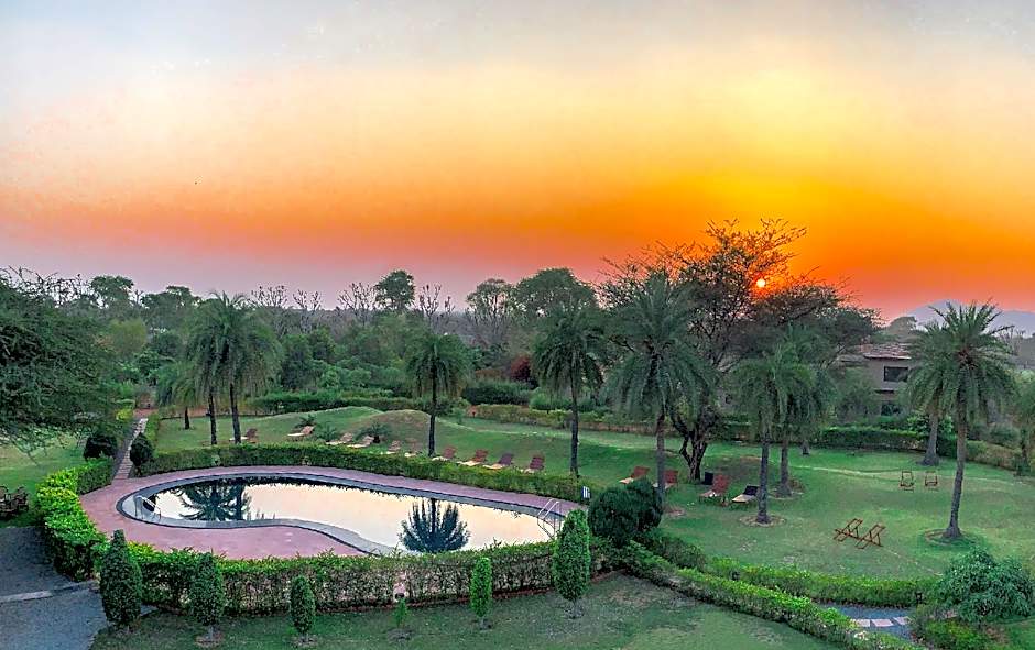 Clarks Safari Pushkar