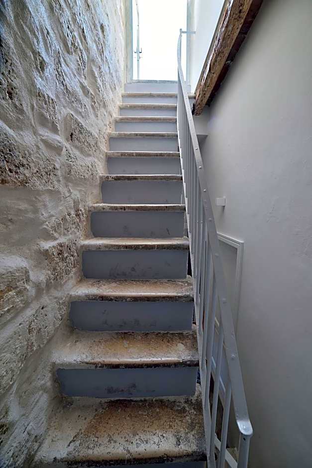 B&B Murex