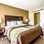 Comfort Inn Detroit Downtown