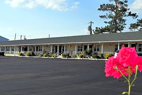 Birchwood inn