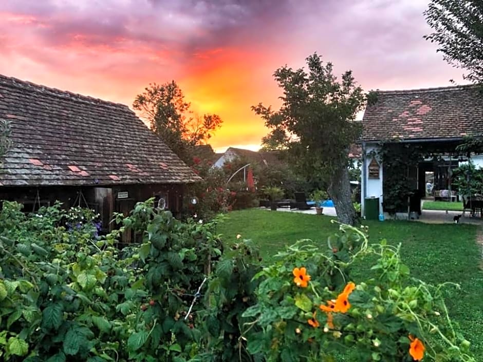 Bed & Breakfast Chez Lips