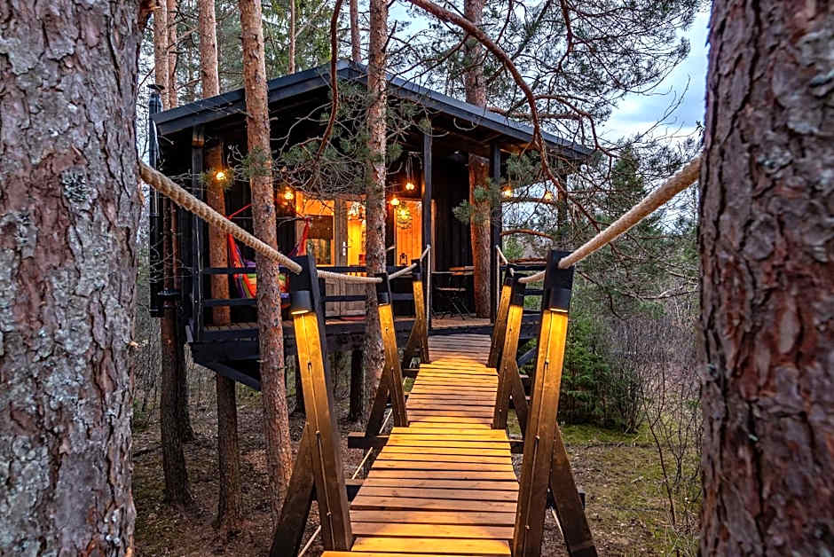 Foto 1 di 14 di Forest Treehouse