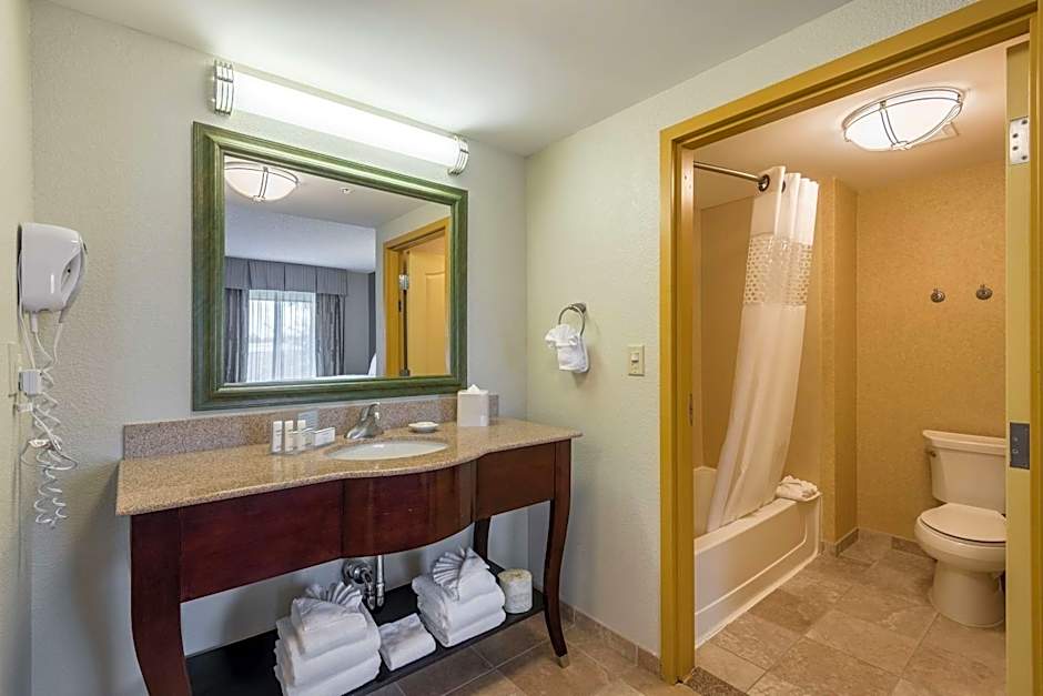 Hampton Inn By Hilton & Suites Orlando-South Lake Buena Vista