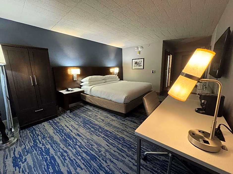 Skyline Hotel Detroit Airport, SureStay Collection by Best Western