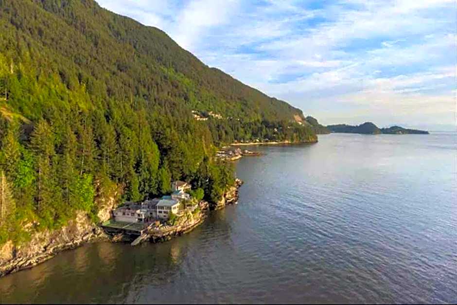 Dream House -Water Lily