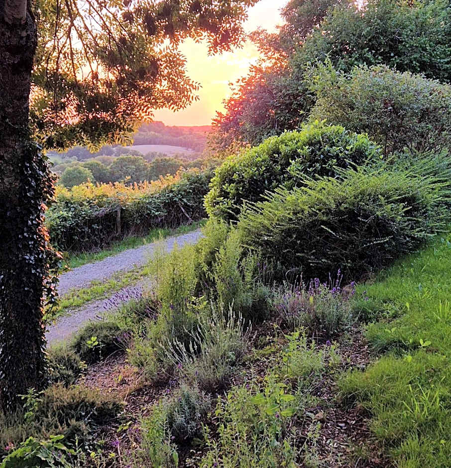 Le Mas de Rigoulac 5 Chambres d'hotes & SPA sur réservation table d hôtes sauf les mercredis et les dimanches