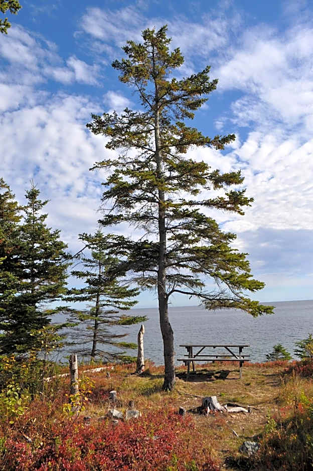 The Sleeping Moose Cottage